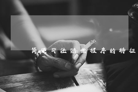 简述司法赔偿程序的特征 简述司法赔偿程序的特征