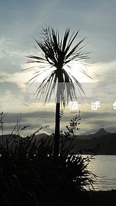 简述学习卫生法规心得体会
