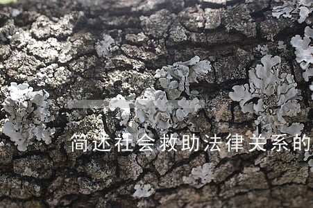 简述社会救助法律关系的分类