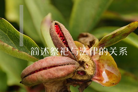 简述祭祀与法律的关系 简述祭祀与法律的关系