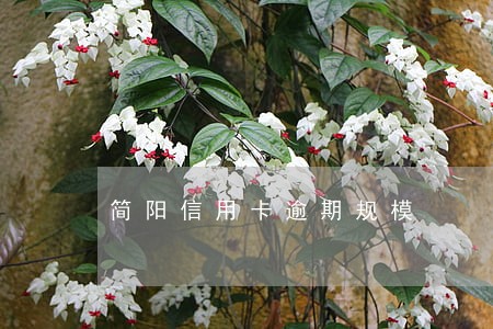 简阳信用卡逾期规模 简阳信用卡逾期规模