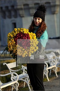 简阳离婚律师咨询免费双水碾