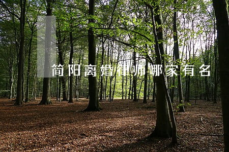 简阳离婚律师哪家有名 简阳离婚律师哪家有名