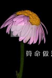 算命做法违法吗 算命做法违法吗