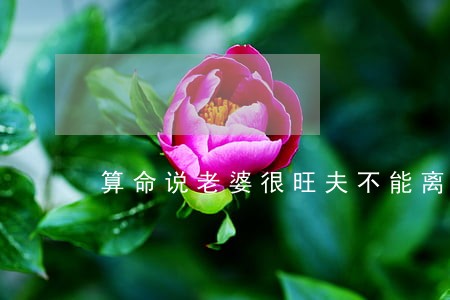 算命说老婆很旺夫不能离婚 算命说老婆很旺夫不能离婚