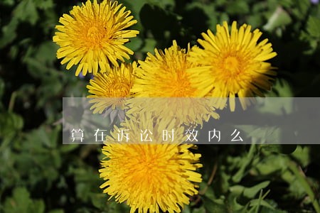 算在诉讼时效内么 算在诉讼时效内么