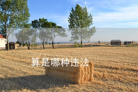 算是哪种违法