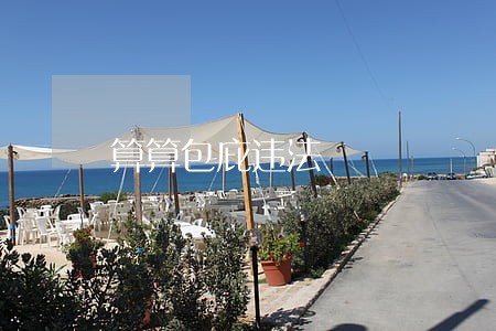 算算包庇违法 算算包庇违法