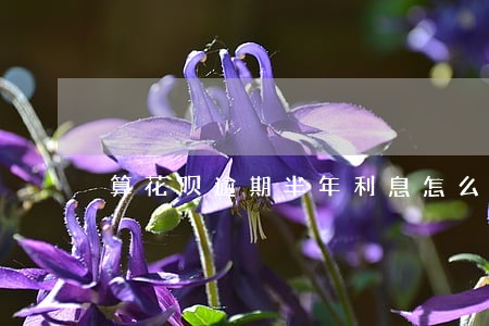 算花呗逾期半年利息怎么算 算花呗逾期半年利息怎么算