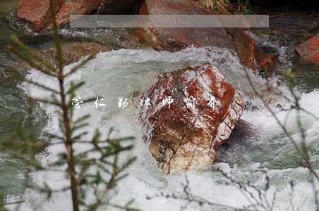 管仁勤律师简介 管仁勤律师简介
