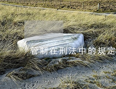 管制在刑法中的规定 管制在刑法中的规定