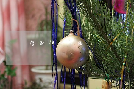 管制律师介绍 管制律师介绍