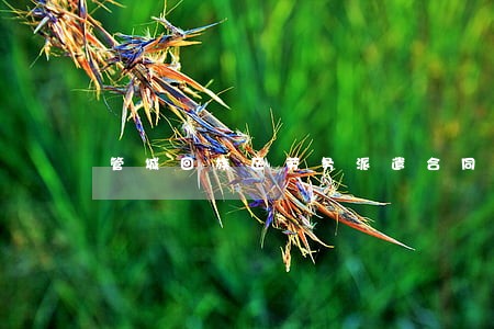 管城回族区劳务派遣合同纠纷律师 管城回族区劳务派遣合同纠纷律师