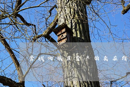 管城回族区资产拍卖在线律师 管城回族区资产拍卖在线律师