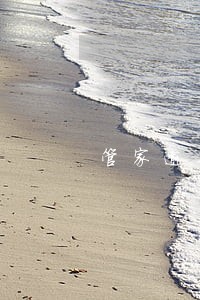 管家逾期后果