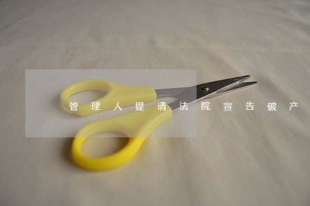 管理人提请法院宣告破产的报告 管理人提请法院宣告破产的报告