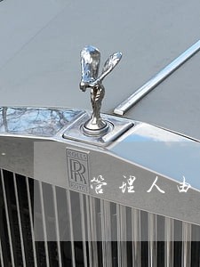 管理人由法院指定 管理人由法院指定