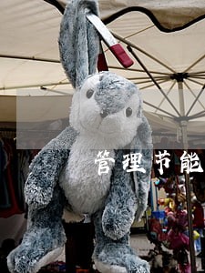 管理节能工作逾期不改正的 管理节能工作逾期不改正的