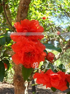 管理费逾期收滞纳金 管理费逾期收滞纳金