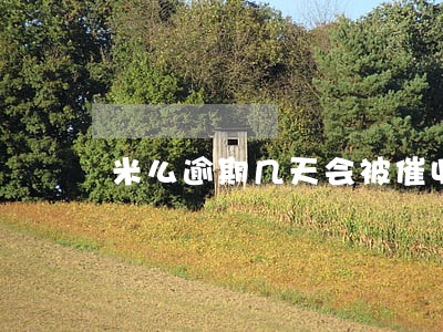米么逾期几天会被催收 米么逾期几天会被催收