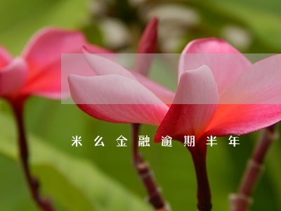 米么金融逾期半年