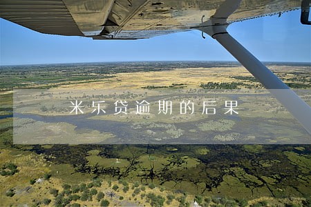 米乐贷逾期的后果 米乐贷逾期的后果