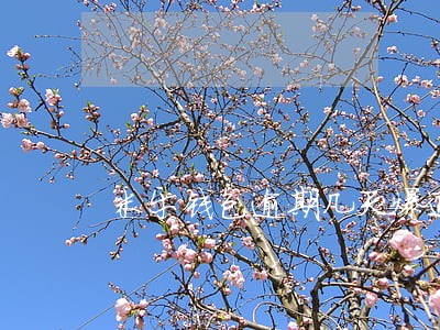 米乐钱包逾期几天爆通讯录
