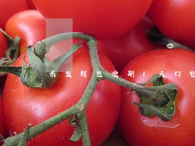 米发钱包逾期1天打电话 米发钱包逾期1天打电话