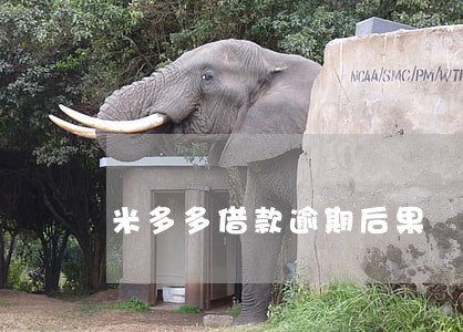 米多多借款逾期后果