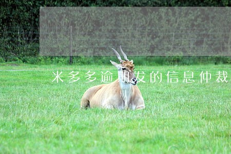 米多多逾期发的信息仲裁员严重吗 米多多逾期发的信息仲裁员严重吗