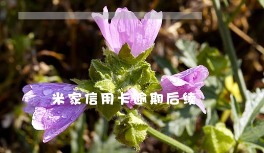 米家信用卡逾期后续 米家信用卡逾期后续