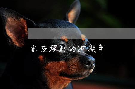 米庄理财的逾期率 米庄理财的逾期率