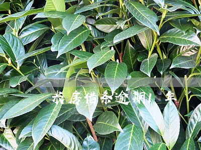 米房借条逾期1年 米房借条逾期1年