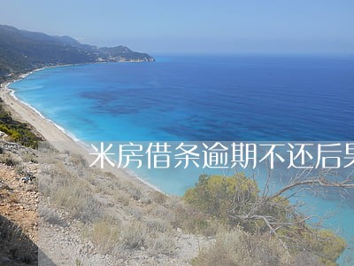 米房借条逾期不还后果 米房借条逾期不还后果