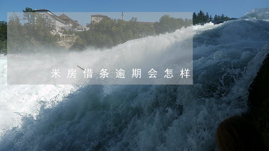 米房借条逾期会怎样 米房借条逾期会怎样