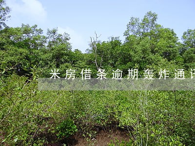 米房借条逾期轰炸通讯录 米房借条逾期轰炸通讯录