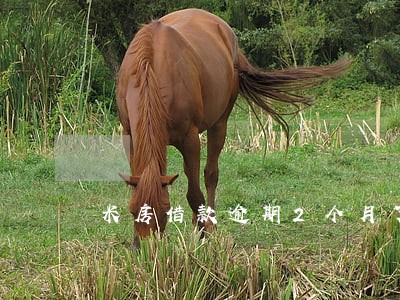 米房借款逾期2个月了 米房借款逾期2个月了