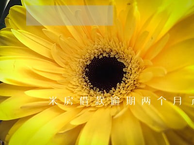 米房借款逾期两个月了 米房借款逾期两个月了