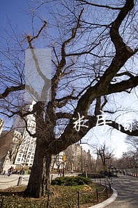 米房借款逾期最新消息