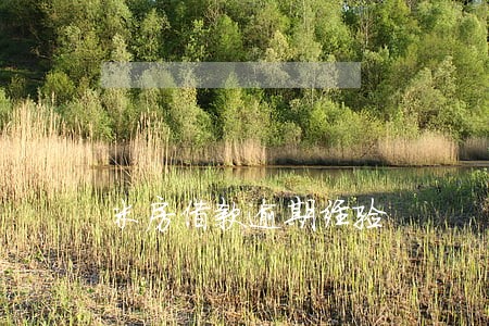 米房借款逾期经验 米房借款逾期经验