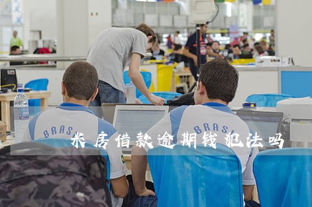 米房借款逾期钱犯法吗 米房借款逾期钱犯法吗