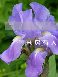 米房有人处理逾期费的吗 米房有人处理逾期费的吗