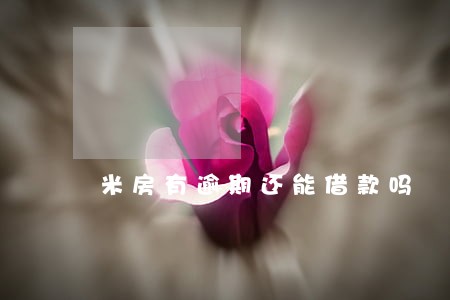 米房有逾期还能借款吗 米房有逾期还能借款吗