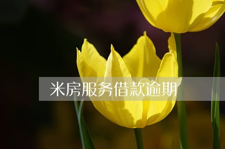 米房服务借款逾期 米房服务借款逾期