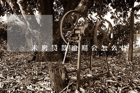 米房贷款逾期会怎么样