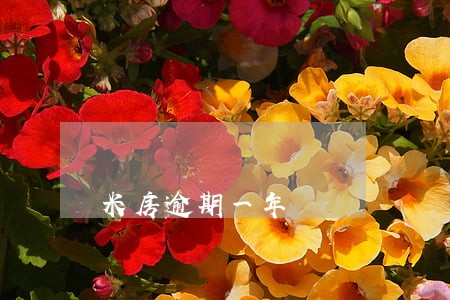 米房逾期一年 米房逾期一年