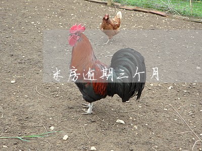 米房逾期三个月 米房逾期三个月