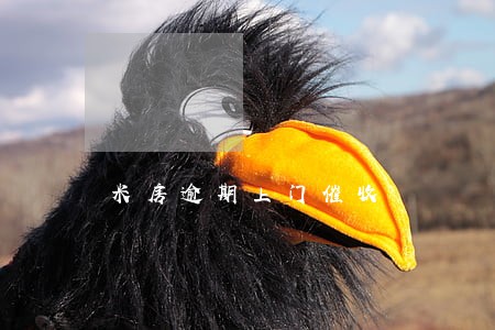 米房逾期上门催收 米房逾期上门催收