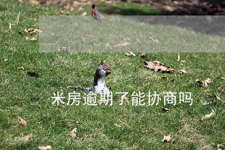 米房逾期了能协商吗