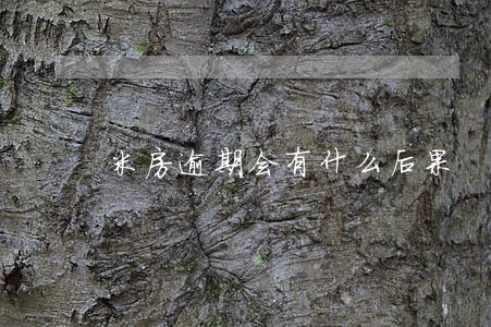 米房逾期会有什么后果 米房逾期会有什么后果